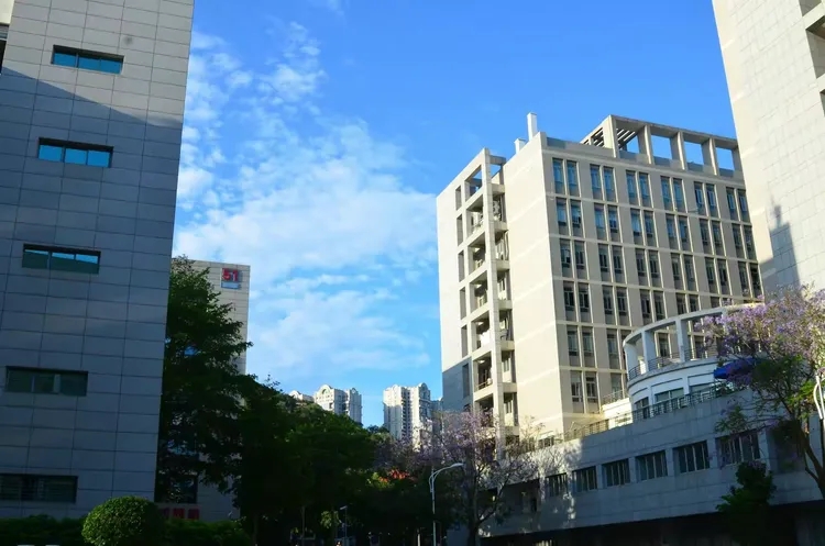我们有专业的团队，一流的服务。