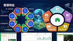 厦门格纲信息科技有限公司智慧林业平台落地赣州，赋能林业治理现代化