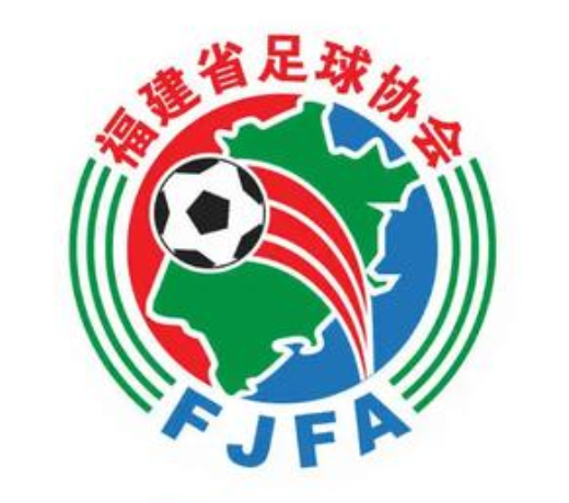 伙伴4